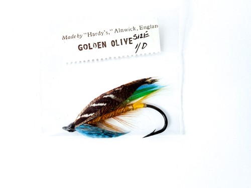 Hardy alnwick golden olive - of,
