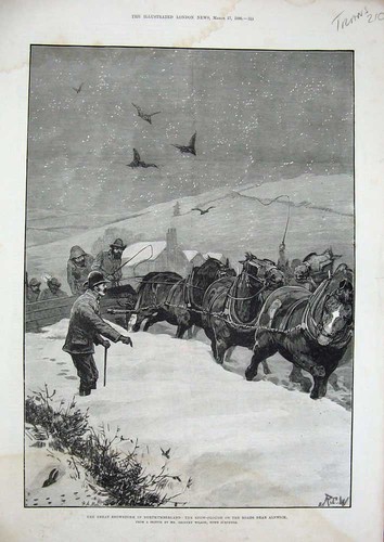 Original old antique print - antique,