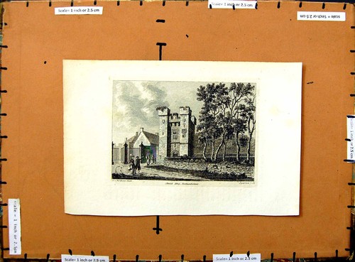 Alnwick abbey northumberland - alnwick,