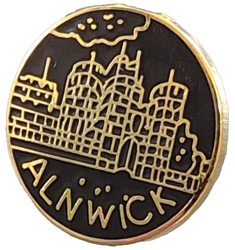 Alnwick town small - alnwick, pin