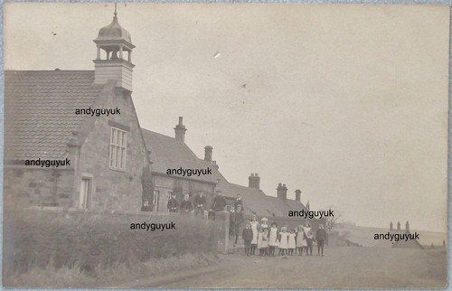 Newton the moor real - newton,