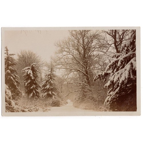 Alnwick northumberland snowy - alnwick,